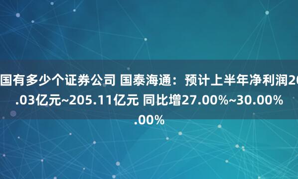 全国有多少个证券公司 国泰海通：预计上半年净利润200.03亿元~205.11亿元 同比增27.00%~30.00%